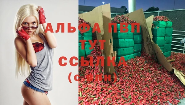 прущая мука Пересвет